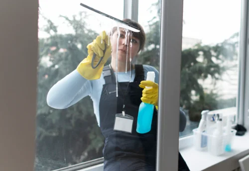 Nettoyage de vitres intérieures et extérieures à Carisey